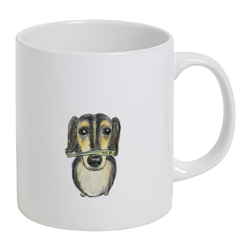 スカイくん（煮干し）