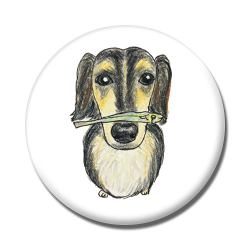 スカイくん（煮干し）