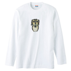 スカイくん（煮干し）