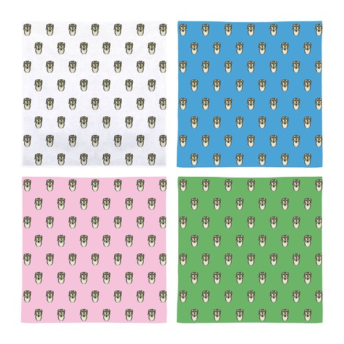 スカイくん（煮干し）