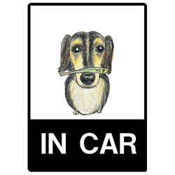 スカイくん（煮干し）