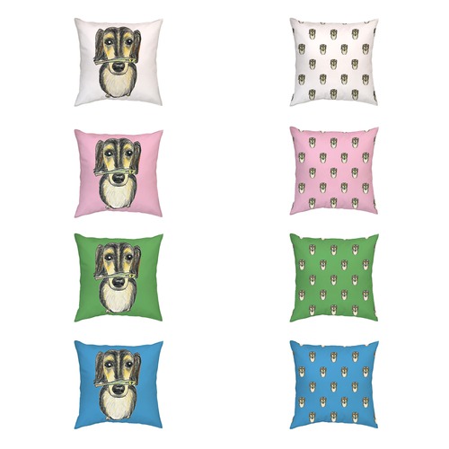 スカイくん（煮干し）