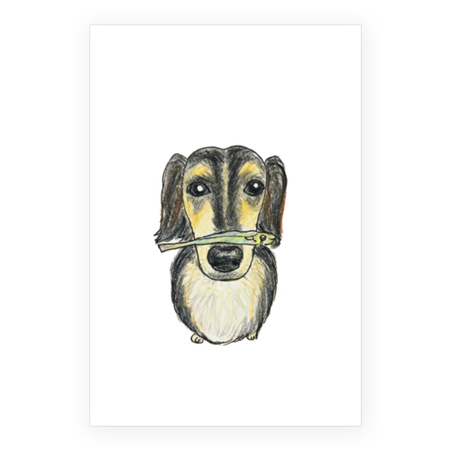 スカイくん（煮干し）