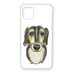 スカイくん（煮干し）