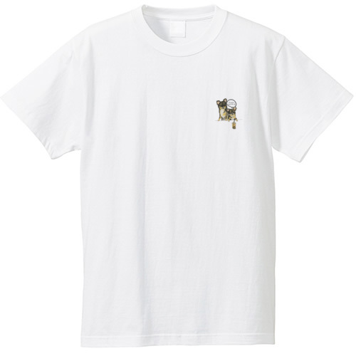 マーブル＆マルモ（タピ活）