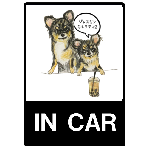 マーブル＆マルモ（タピ活）