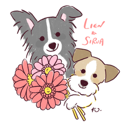 Lien & Sirua *line