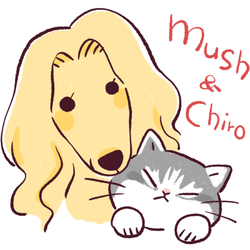 mush&chiro *line