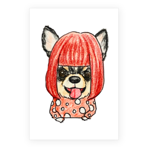 マーブル&マルモ（カツラ）