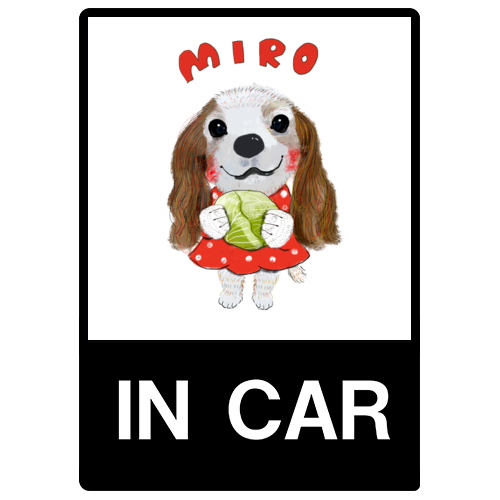 MIRO