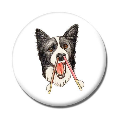 ソラちゃん（チョコ）