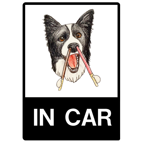 ソラちゃん（チョコ）