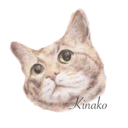 Kinako