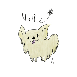 チワワ✾yelp