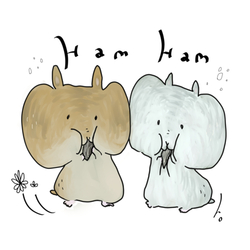 HamHam