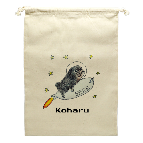 小春ちゃん ロケット