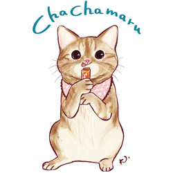 chachamaru