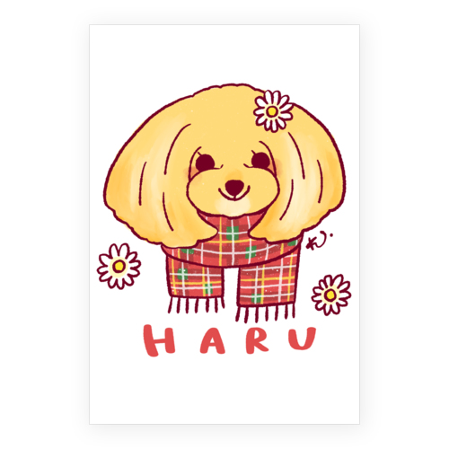 HARU *line