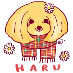 HARU *line
