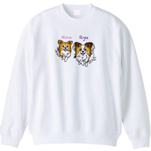 りゅうくんひなちゃんグッズ