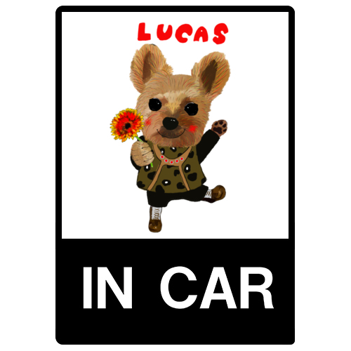 LUCAS