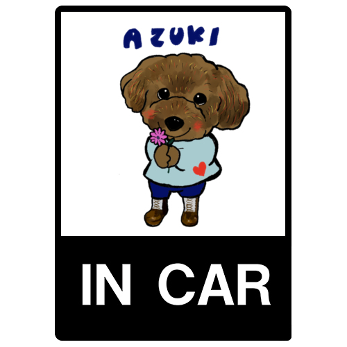 AZUKI