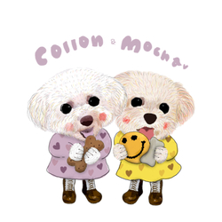 Mocha & Collon