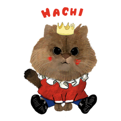 HACHI