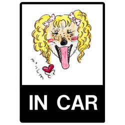 琥珀くん(ぎゃんでぃちゃん)