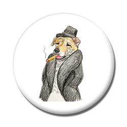 琥珀くん(ダンディちゃん)