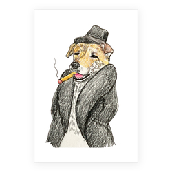 琥珀くん(ダンディちゃん)