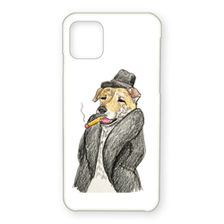 琥珀くん(ダンディちゃん)