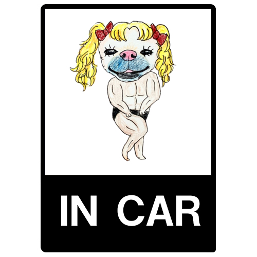 ごんちゃん（ぎゃんでぃマッチョ）