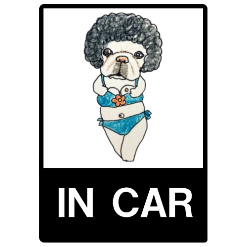 ぶぅちゃん（ポロリ）