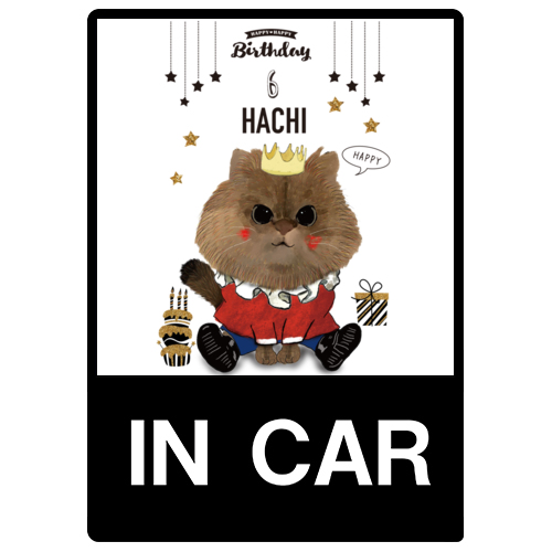 HACHI