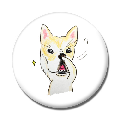 ナルちゃん（鼻ブヒ）