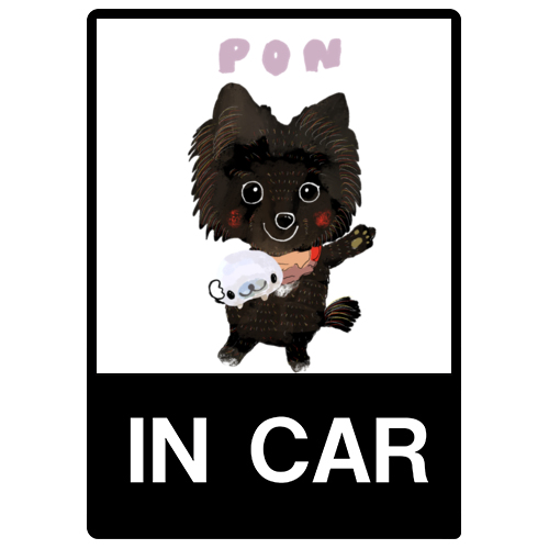  pon