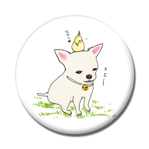 ぽむ（ゆきちゃん）