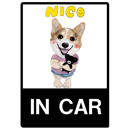 NICO