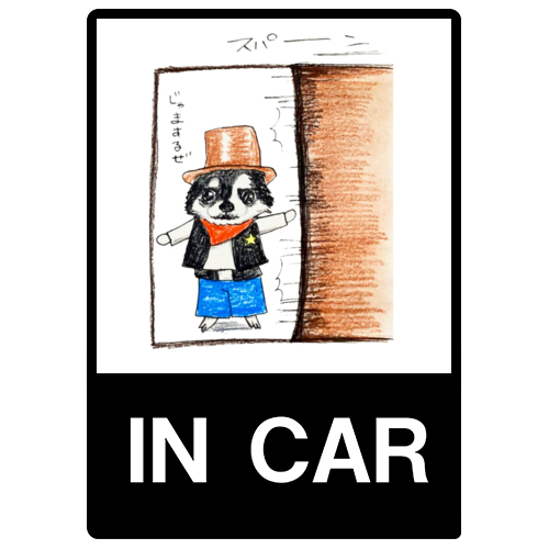 そらくん（スパーン）