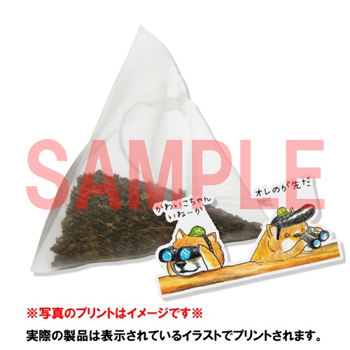 チョコbear（くま）