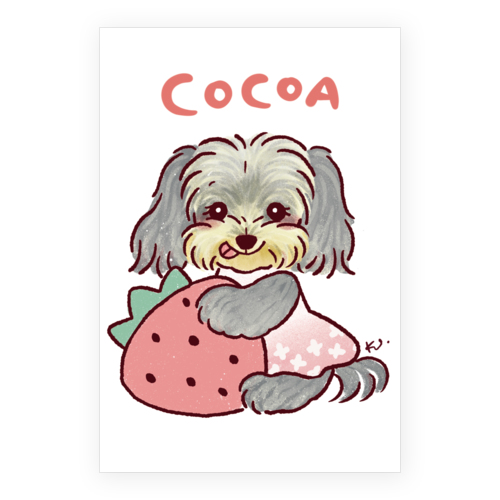 COCOA