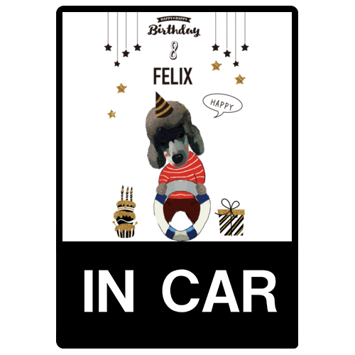 FELIX