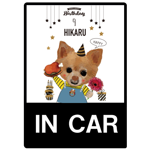 HIKARU