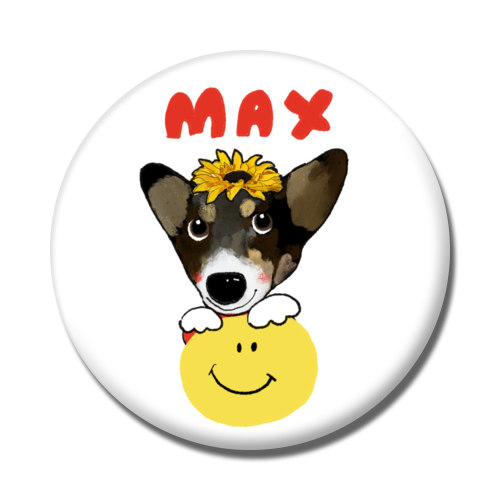 MAX