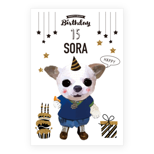 SORA