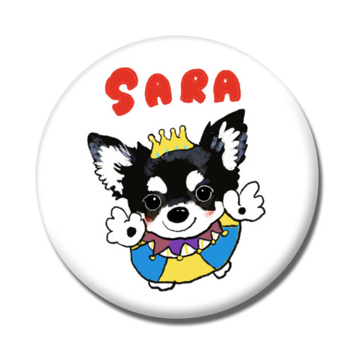 SARA