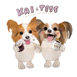 KAI & TESS