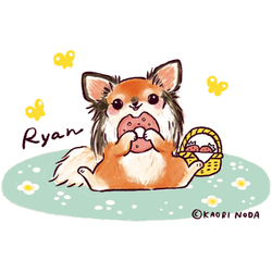 Ryan（N26_2）