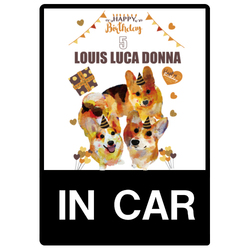 Louis Luca Donna